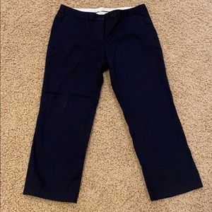 Navy Dress Long Capri Pants